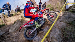 Assoluti d’Italia - Viareggio