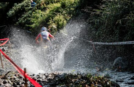 Discover the photo gallery of the EnduroGP Italy 2025 in Boario Terme with the Honda RedMoto Racing World Enduro Team in action. All the pictures...Discover the photo gallery of the EnduroGP Italy 2025 in Boario Terme with the Honda RedMoto Racing World Enduro Team in action. All the pictures...