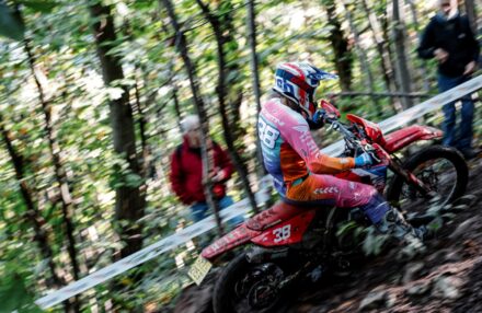 Discover the photo gallery of the EnduroGP Italy 2025 in Boario Terme with the Honda RedMoto Racing World Enduro Team in action. All the pictures...